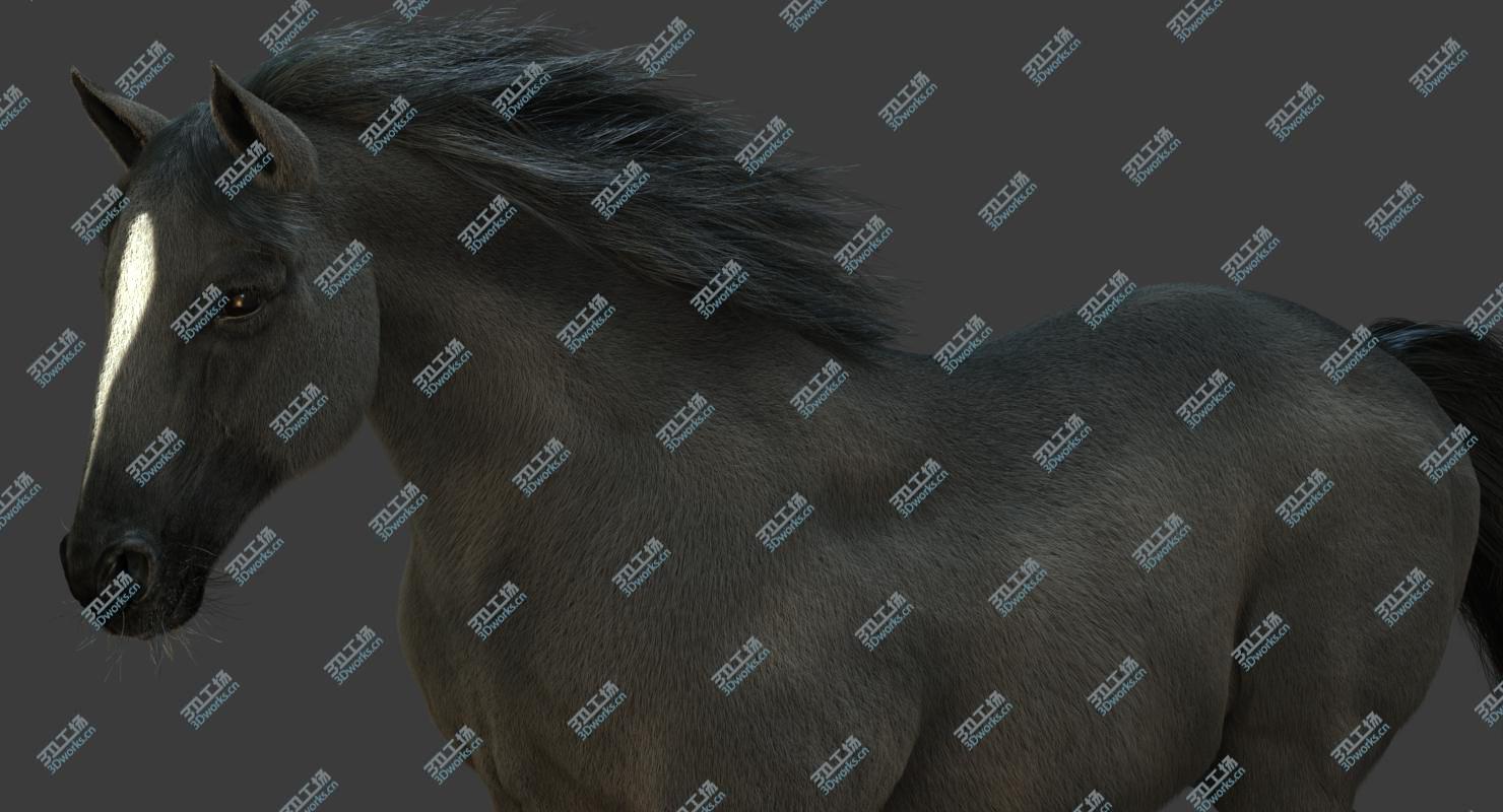 images/goods_img/20210319/3D Horse (2) (Black) (ANIMATED) (FUR)/4.jpg